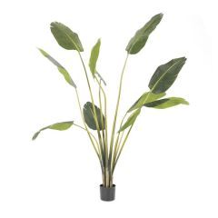 Strelitzia kunstplant middel (per 2)