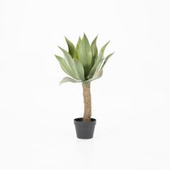 Kunstplant Agave op stam - klein