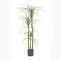 Kunstplant Yucca